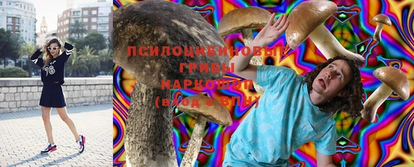 дурь Балахна