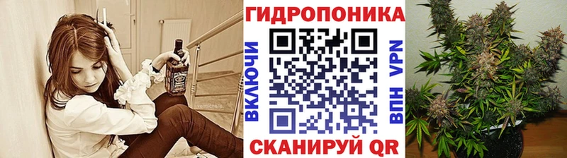 купить наркотики сайты  Торжок  Каннабис VHQ 
